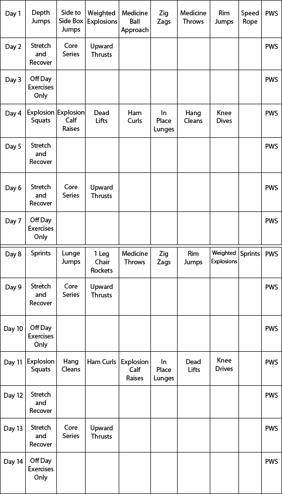 Vertical Jump Workout